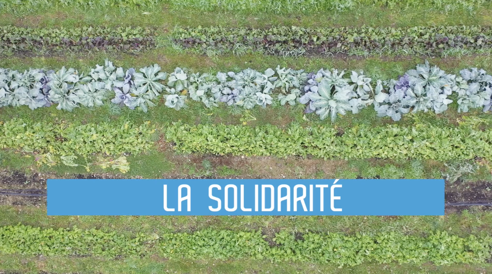 Le Groupe des chalets mis en r&eacute;cit par Bouduprod